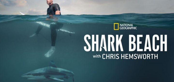 Shark Beach with Chris Hemsworth