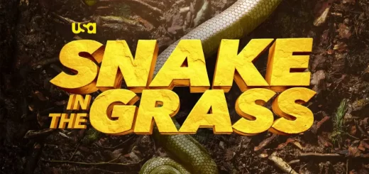 Snake in the Grass