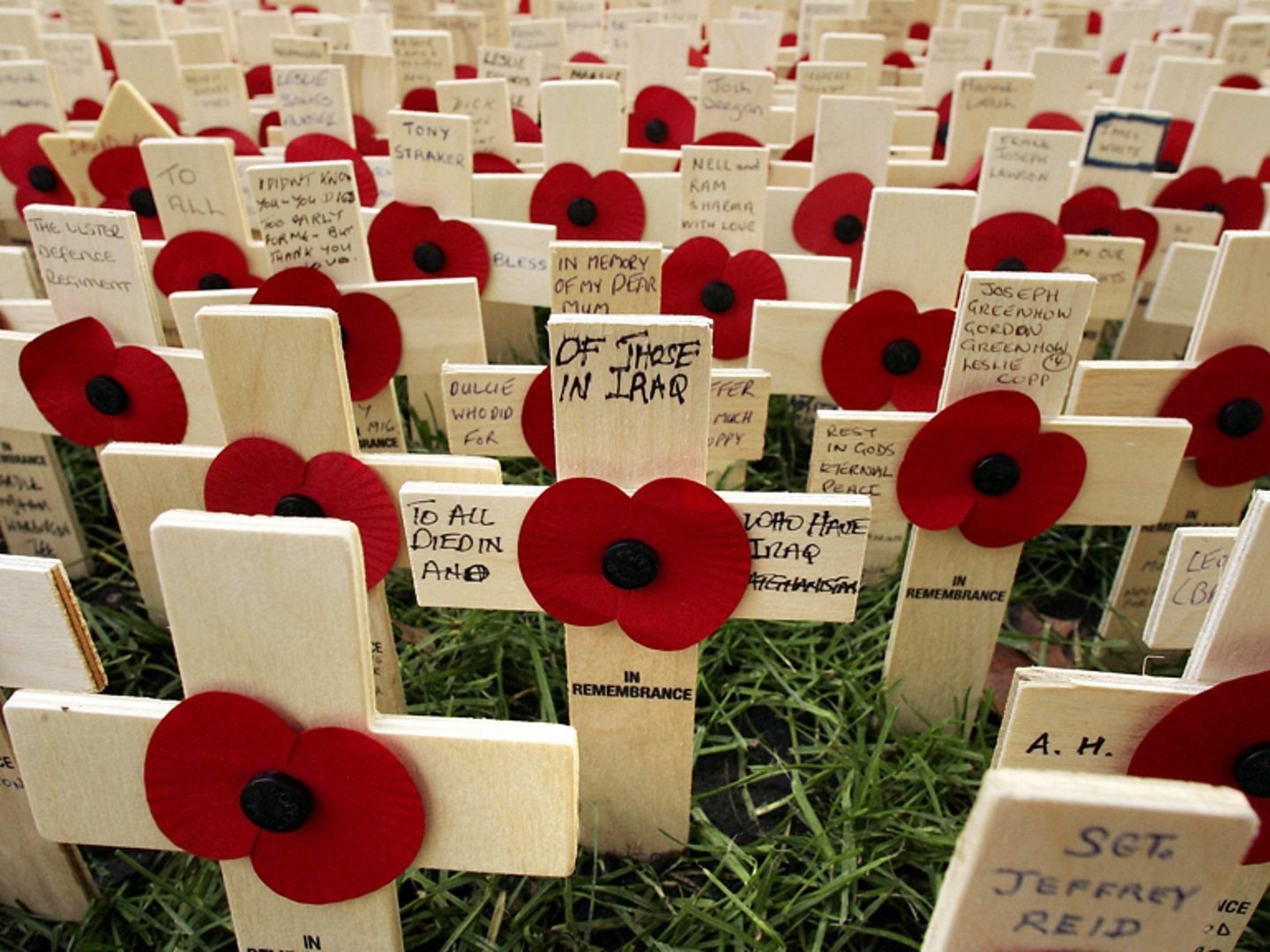 Royal British Legion Festival of Remembrance 11 November 2023 on BBC One 1 Royal British Legion Festival of Remembrance 11 November 2023 on BBC One
