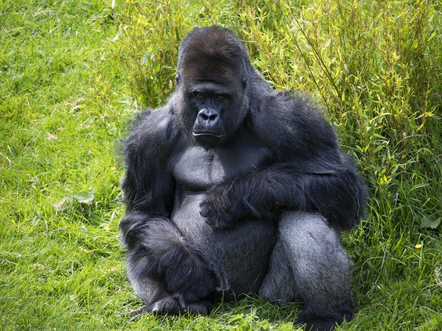Tales From The Zoo: Talking Animals S1E12 6 December 2022 on Channel 5 1 Tales From The Zoo: Talking Animals S1E12 6 December 2022 on Channel 5