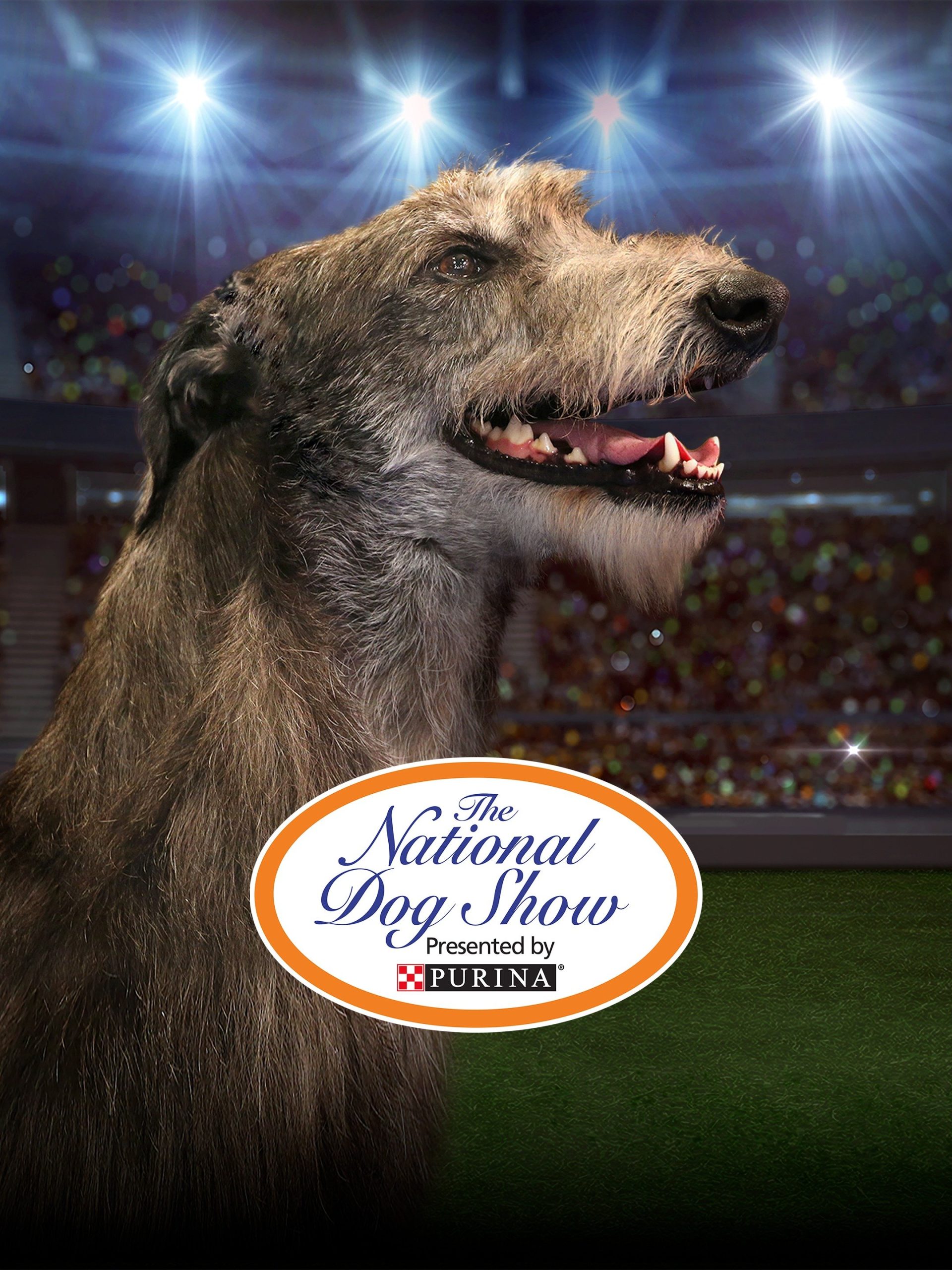 The National Dog Show November 23 2023 on NBC TV Regular