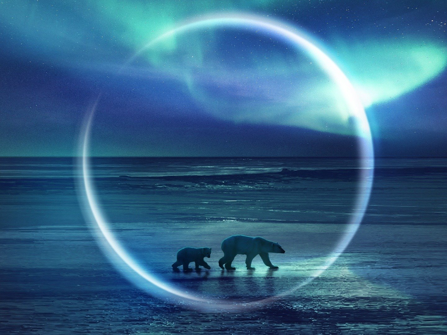 Frozen Planet II 2 January 2023 on BBC One 1 Frozen Planet II 2 January 2023 on BBC One