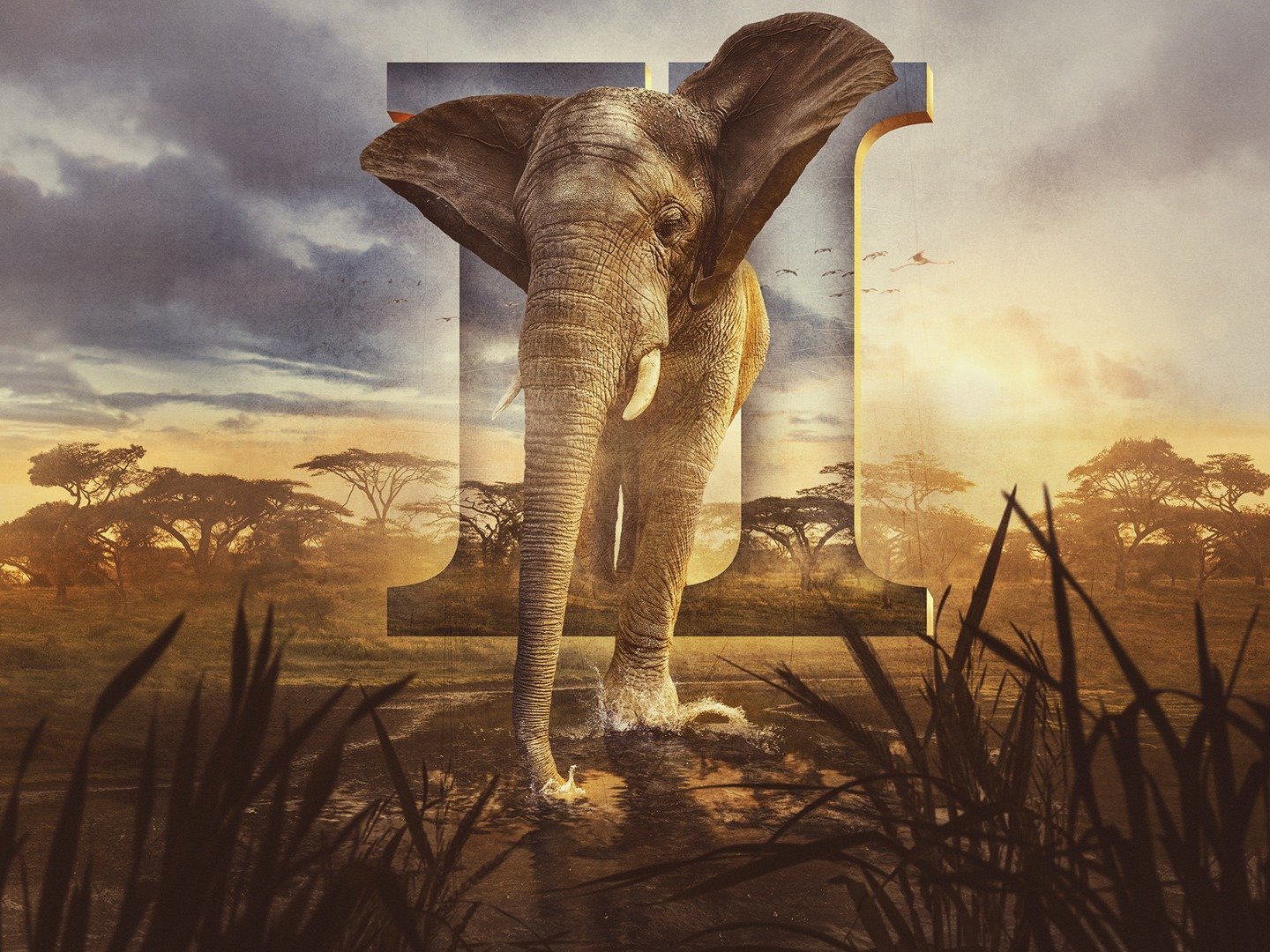 Serengeti “Refuge” S3E1 15 January 2023 on BBC One