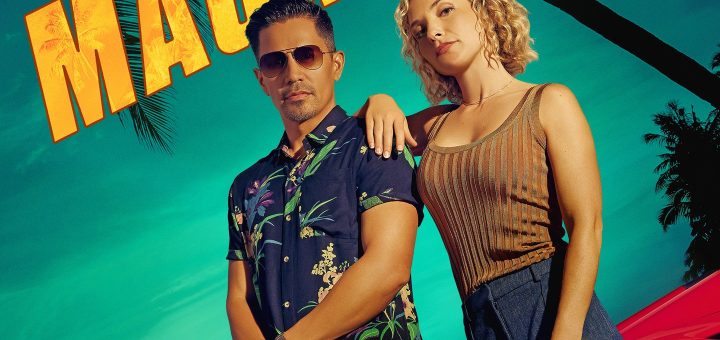 p15528151 b v13 as 1