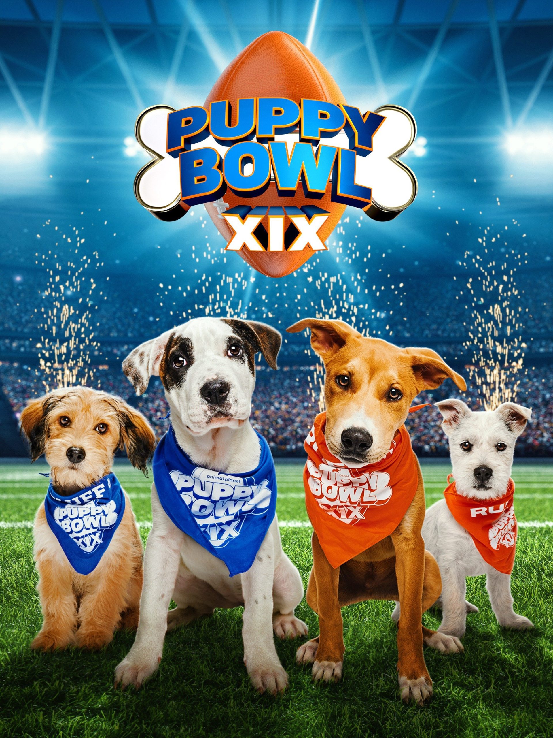 Puppy Bowl XIX February 12 2023 on TBS 1 Puppy Bowl XIX February 12 2023 on TBS