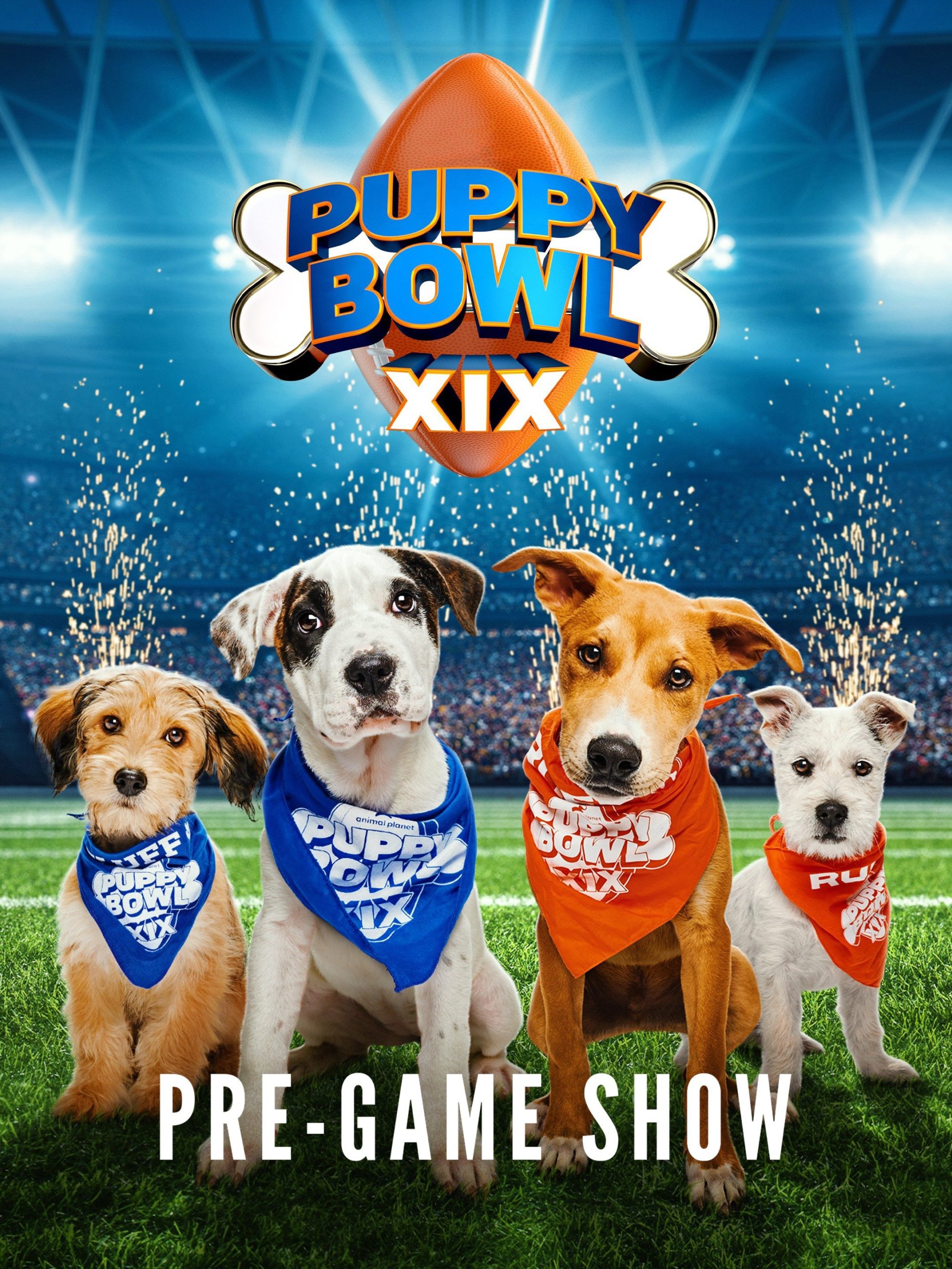 Puppy Bowl XIX Pre-Game Show  February 12 2023 on Animal Planet