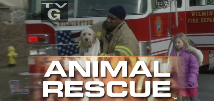 Animal Rescue