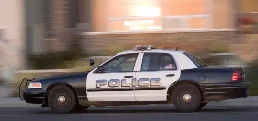 Cops Uncut