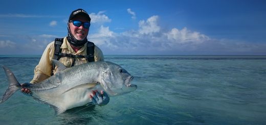 Hooked on Africa Best of