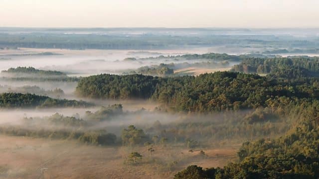 Inside Britain’s National Parks “New Forest” S1E1 28 March 2026 on BBC Two