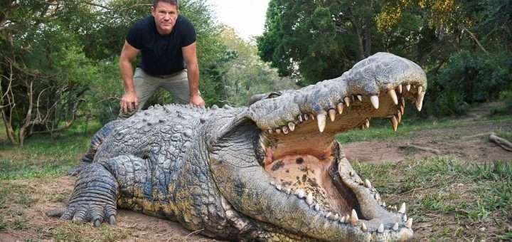 Killer Crocs With Steve Backshall