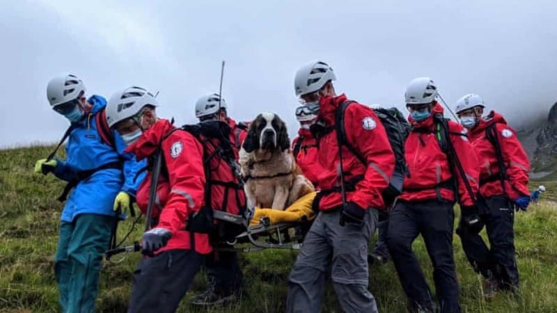 Lake District Rescue S1E1 7 April 2024 on More 4