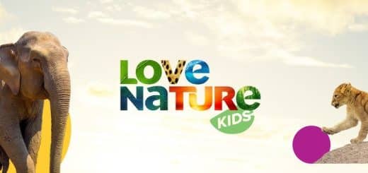 Love Nature