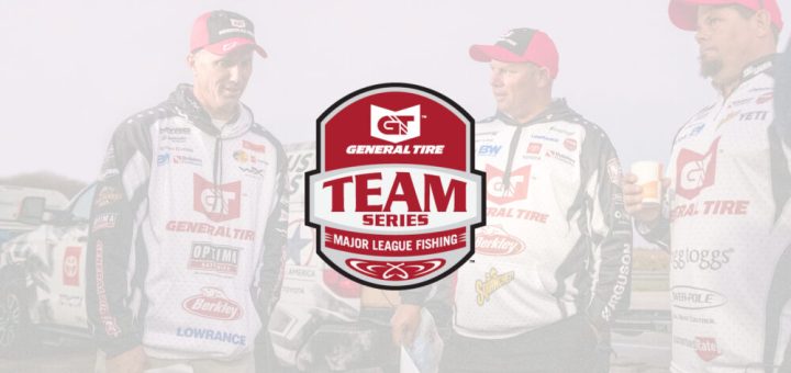 MLF Team Series