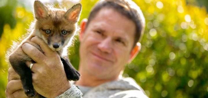 Milkshake Fantastic Foxes Their Secret World