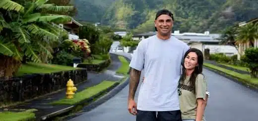 Renovation Aloha