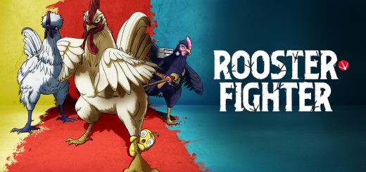 Rooster Fighter