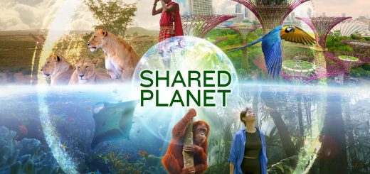 Shared Planet