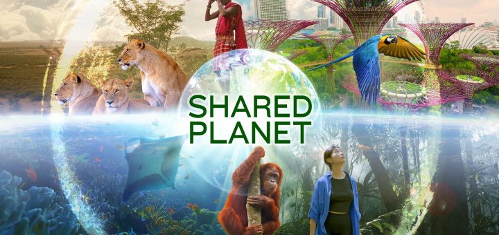 Shared Planet