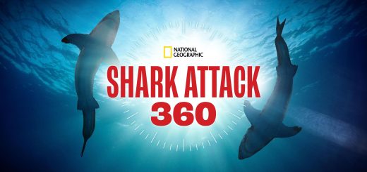 Shark Attack 360