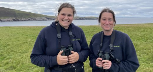 Shetland Scotlands Wondrous Isles