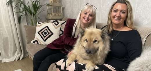 The Pet Psychic Whats Your Dog Thinking