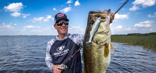 The VanDam Experience 1