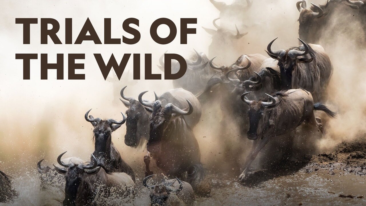Trials of the Wild “Monarchs Amazing Journey” S1E1 April 22 2026 on National Geographic