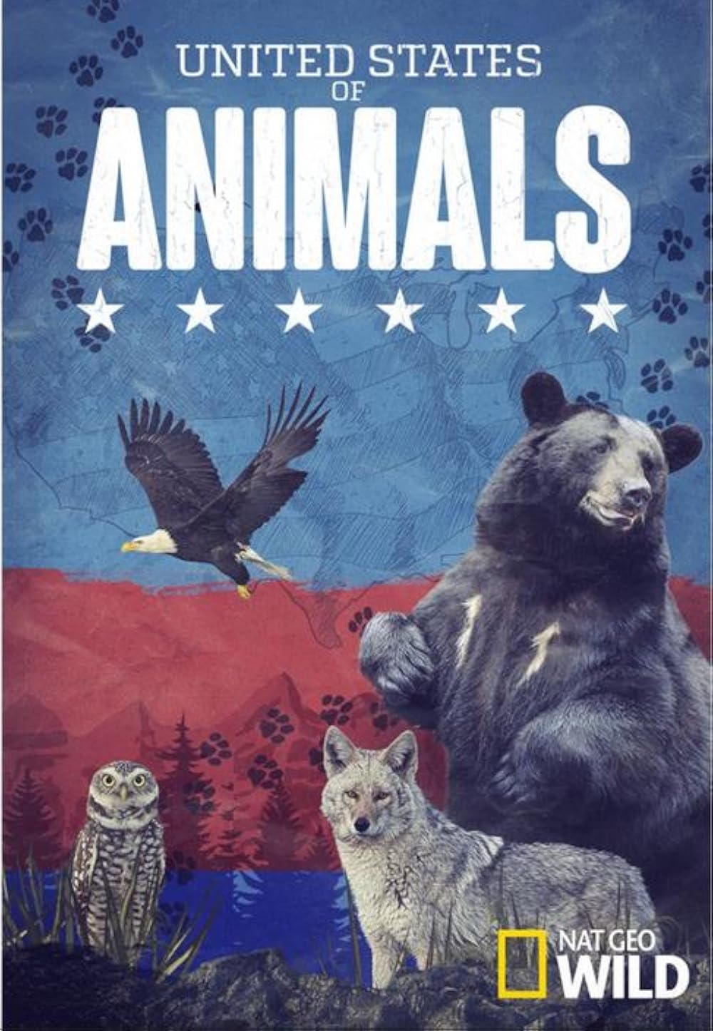 United States of Animals “Migration Madness” S1 July 4 2026 on NGWIHD