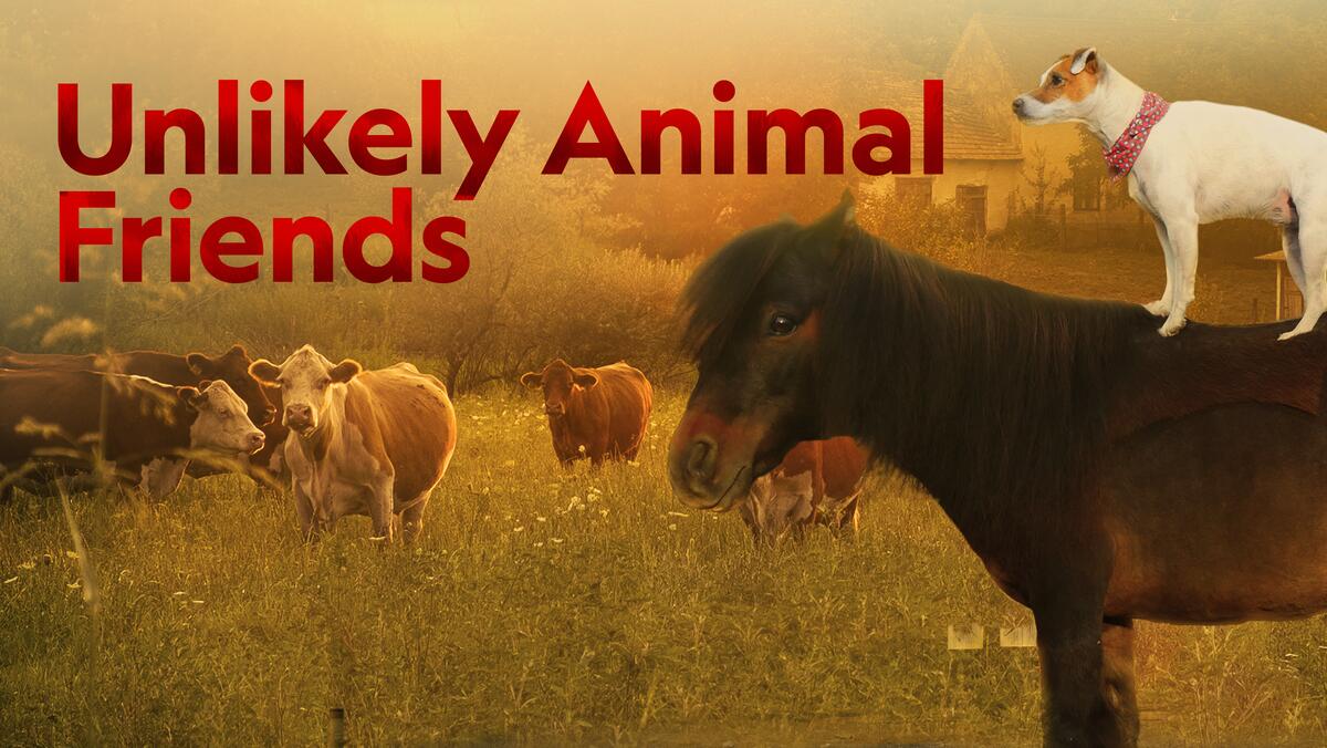 Unlikely Animal Friends “Barnyard Buddies” S1 April 12 2026 on NGWIHD