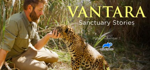 Vantara Sanctuary Stories 1