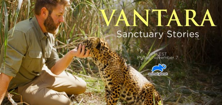 Vantara Sanctuary Stories