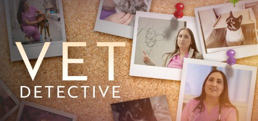 Vet Detective