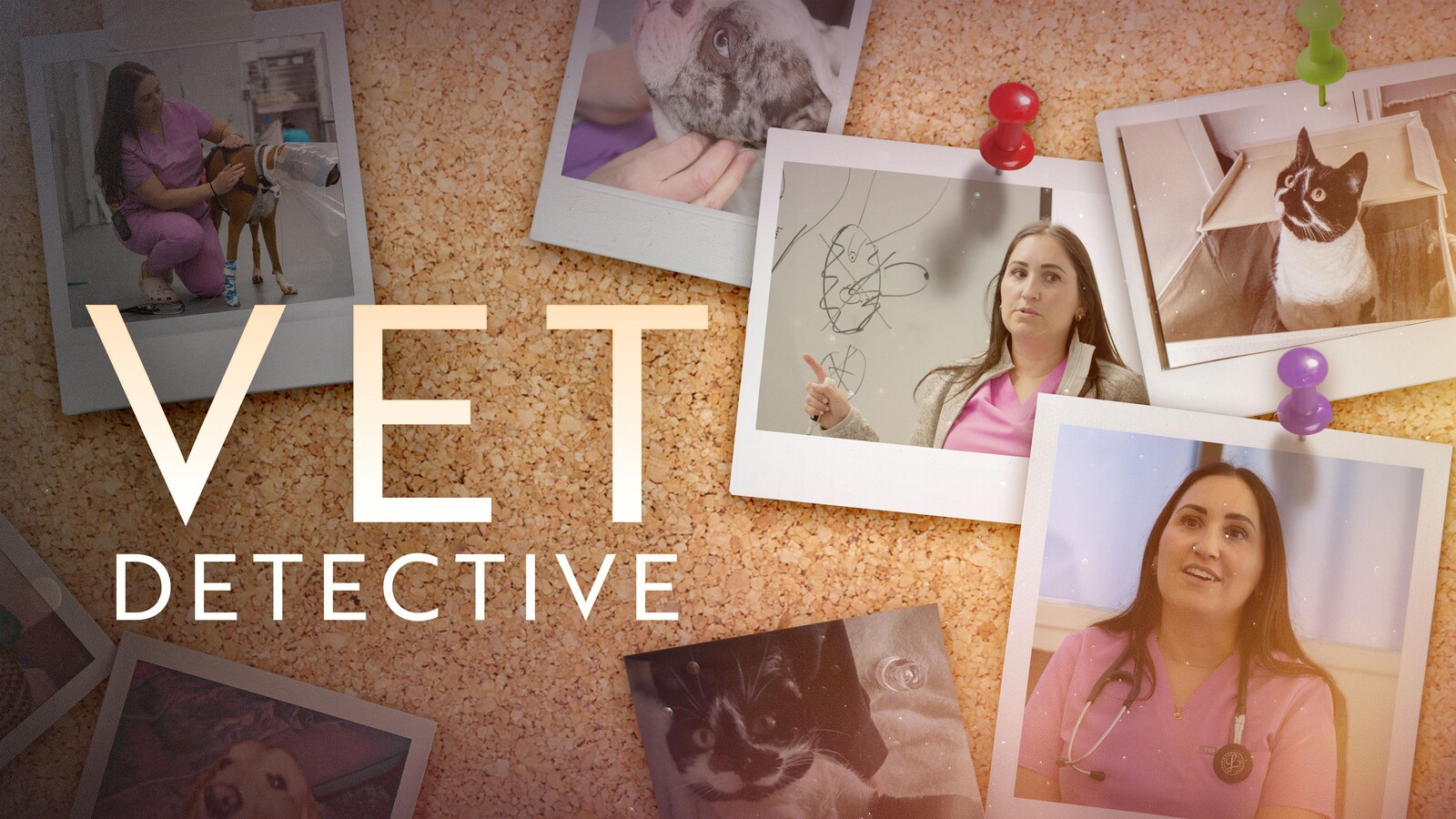 Vet Detective Vet Detective “The Bulldog’s Battle to Breathe” S1E6 April 4 2026 on NGWIHD