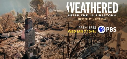 Weathered: After the LA Firestorm