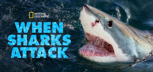 When Sharks Attack