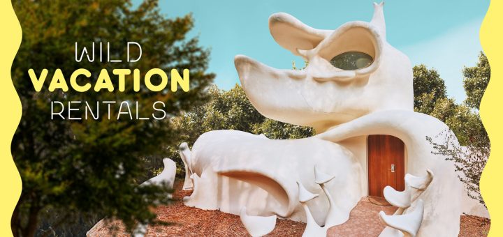 Wild Vacation Rentals