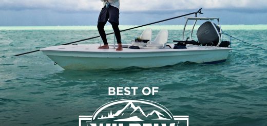 Wildfly Best of