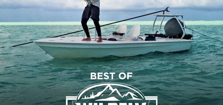Wildfly Best of