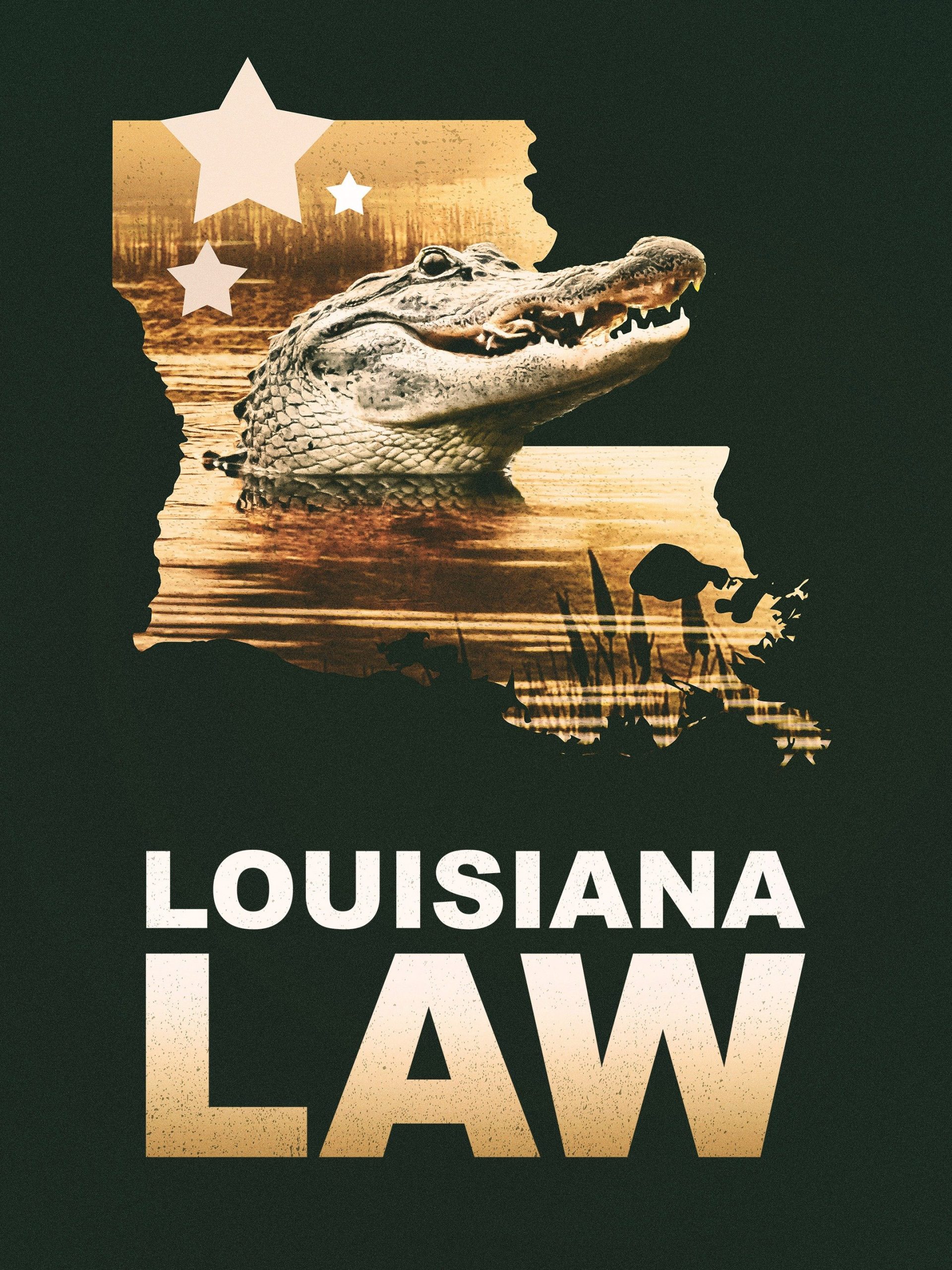 Louisiana Law "Guns and Meth" S2E16 April 16 2023 on Animal Planet 1 p19852621 b v13 af scaled
