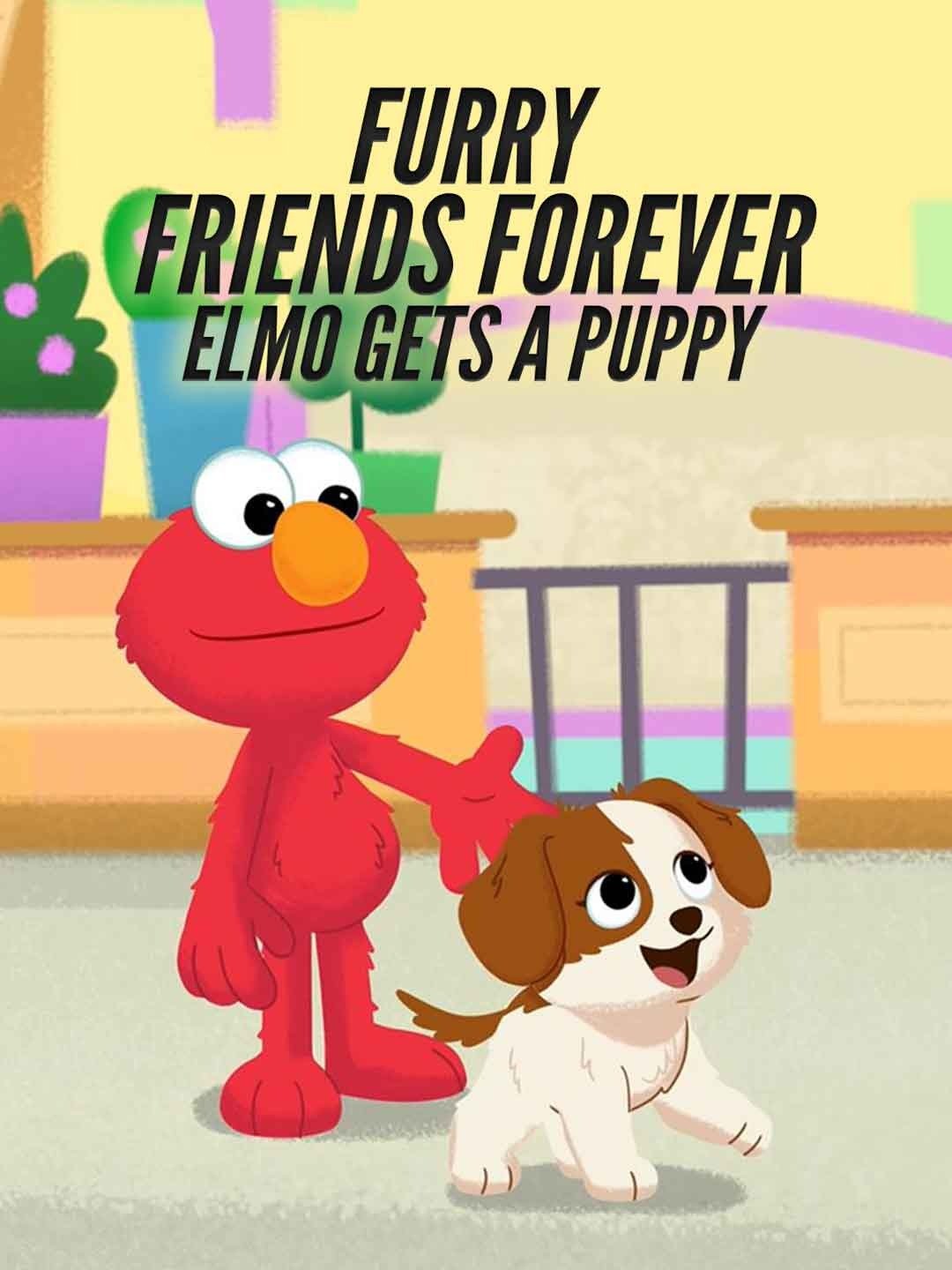 Furry Friends Forever: Elmo Gets a Puppy March 13 2023 on PBS 1 Furry Friends Forever: Elmo Gets a Puppy March 13 2023 on PBS