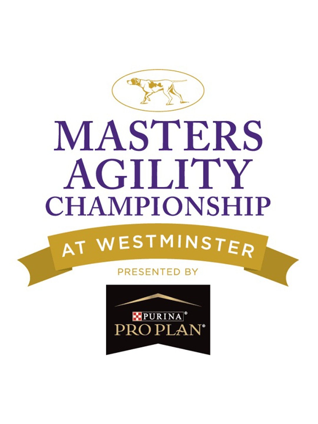 The Masters Agility Championship at Westminster  January 31 2026 on FOX