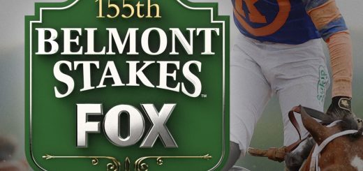 p24776033 b v13 aa 1