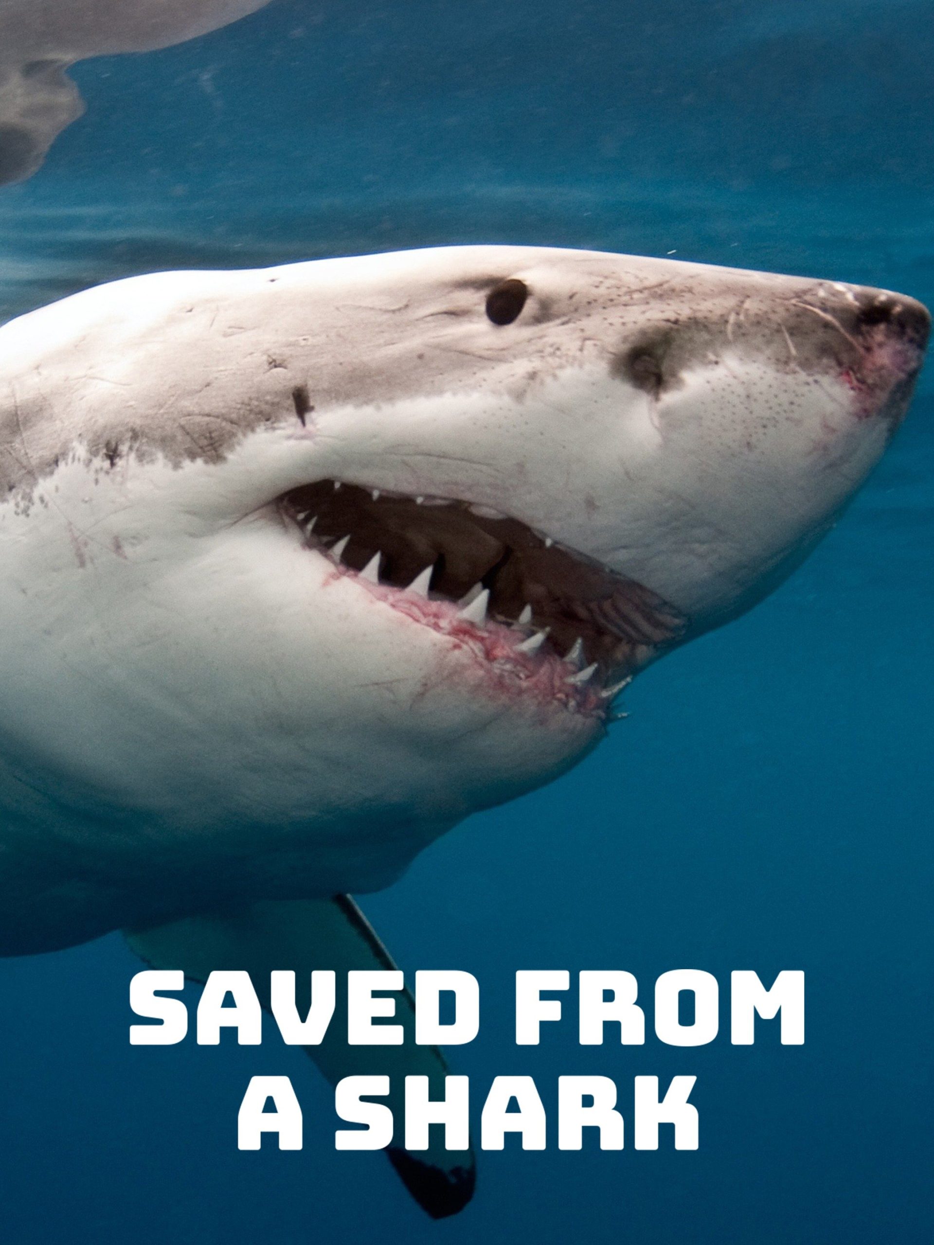 Saved From a Shark  July 2 2023 on National Geographic