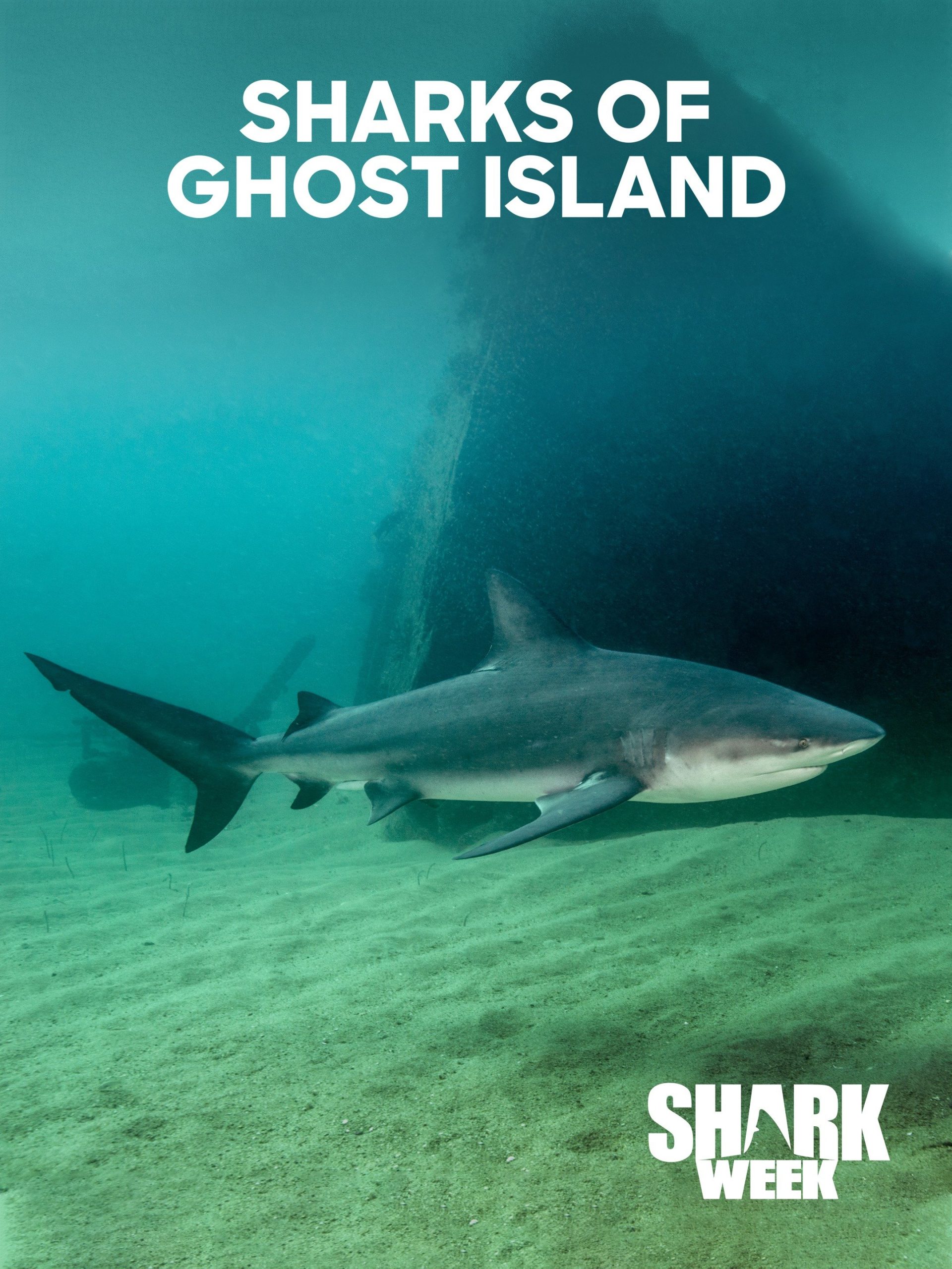 Sharks of Ghost Island July 28 2023 on Discovery 1 Sharks of Ghost Island July 28 2023 on Discovery