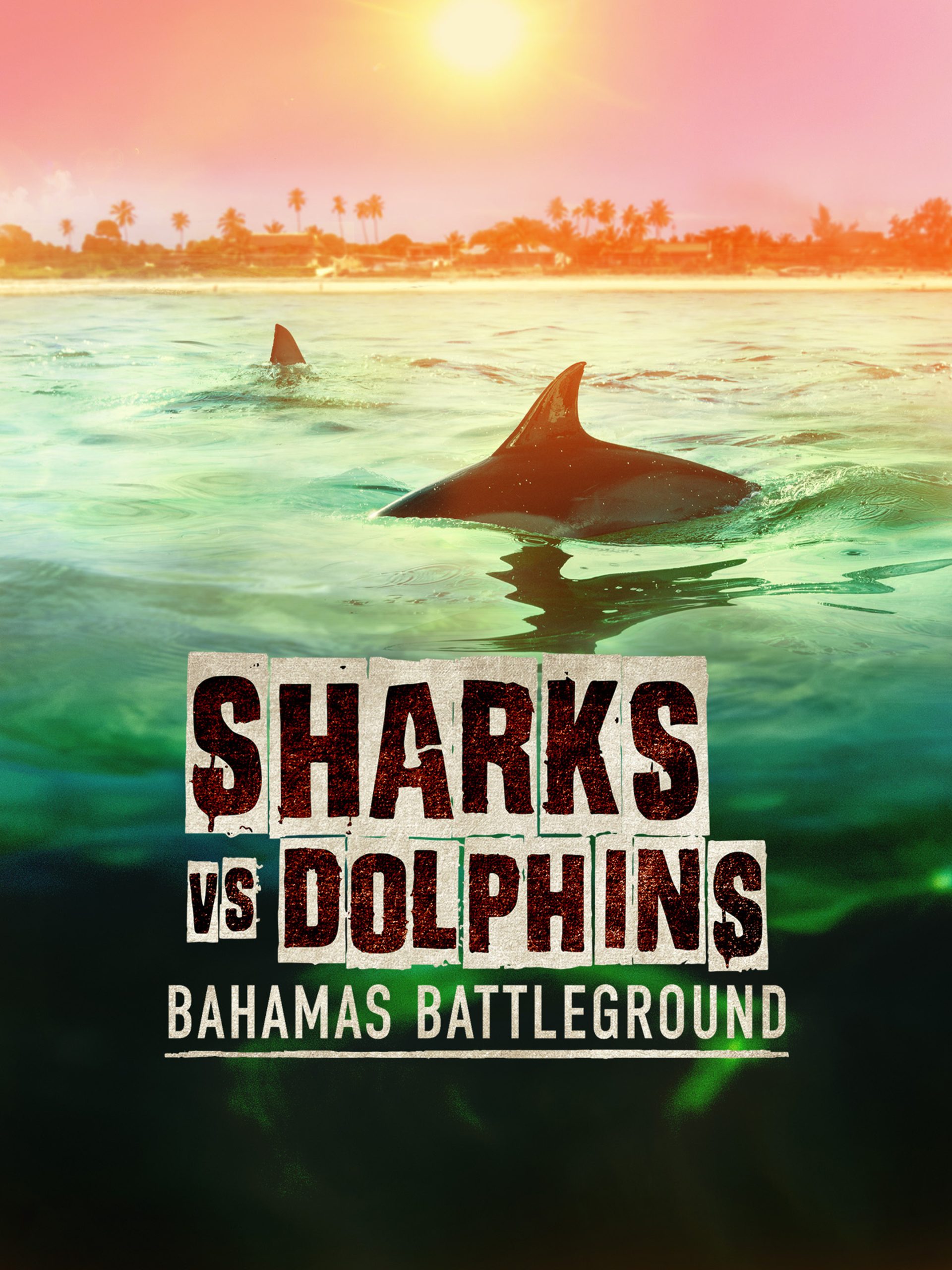 Sharks vs. Dolphins: Bahamas Battleground July 11 2023 on Disney XD 1 Sharks vs. Dolphins: Bahamas Battleground July 11 2023 on Disney XD