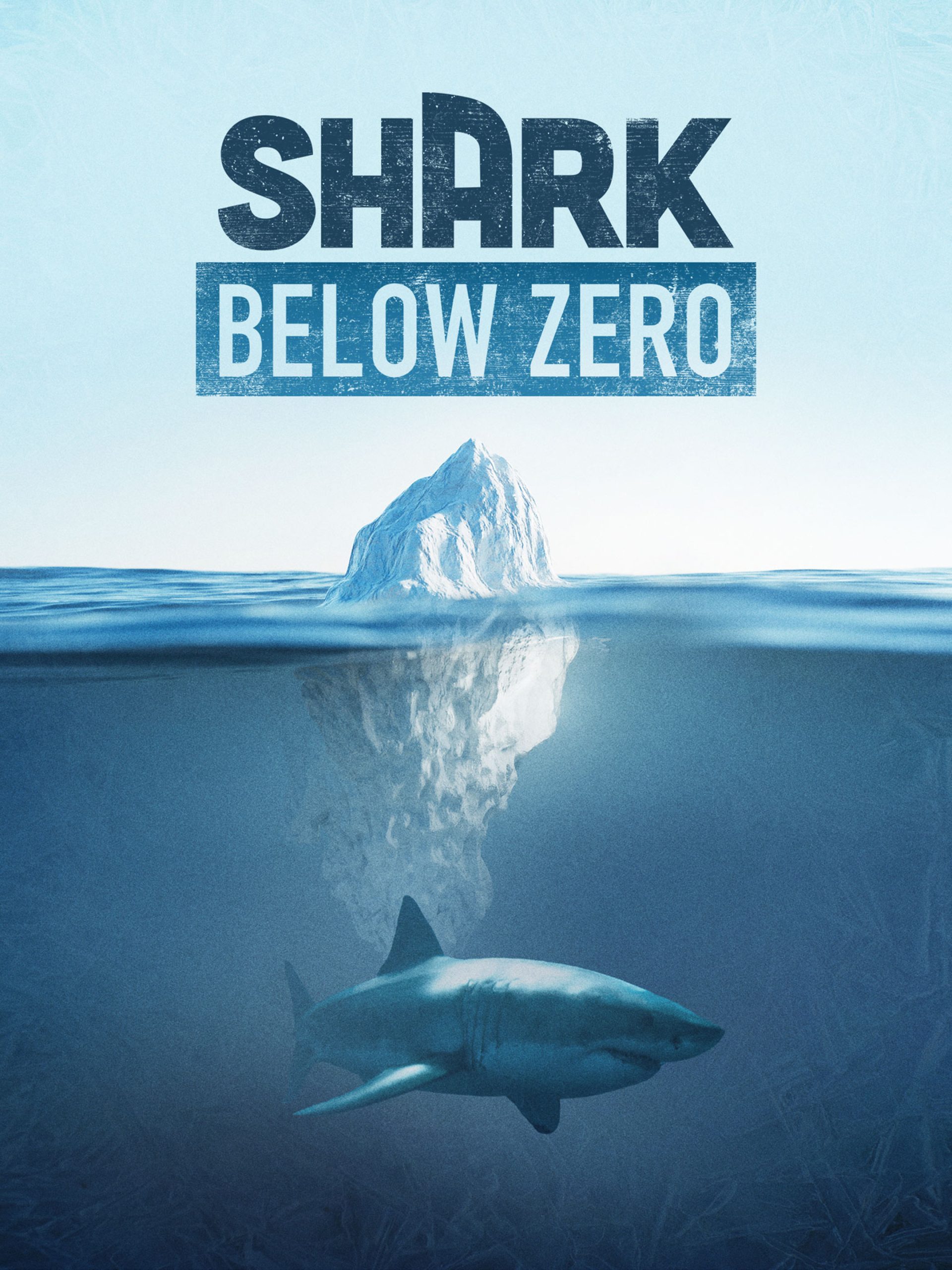 Shark Below Zero: Cold Snap  July 16 2023 on National Geographic