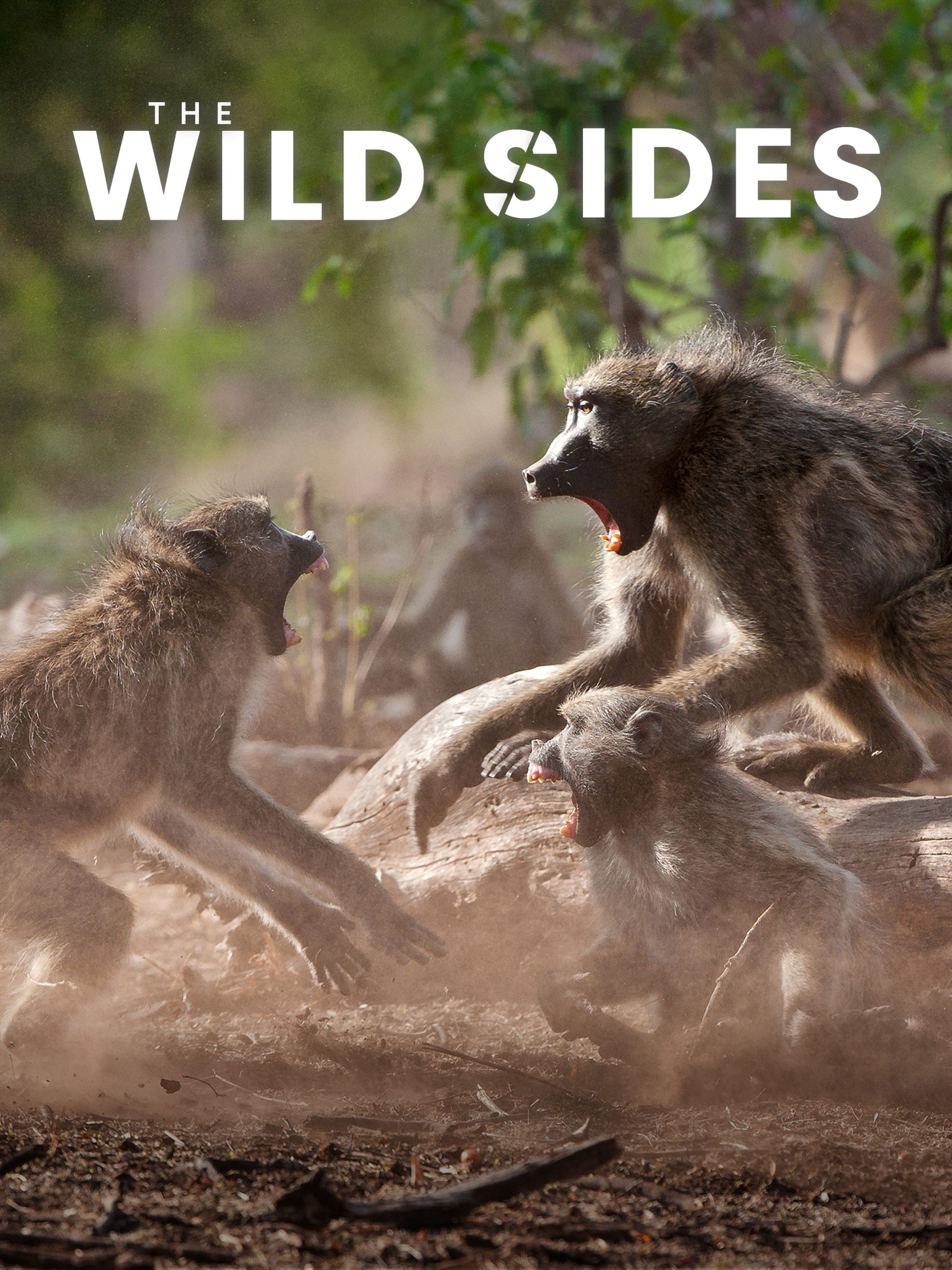 The Wild Sides “The Drought” S1E1 August 5 2023 on BBC America