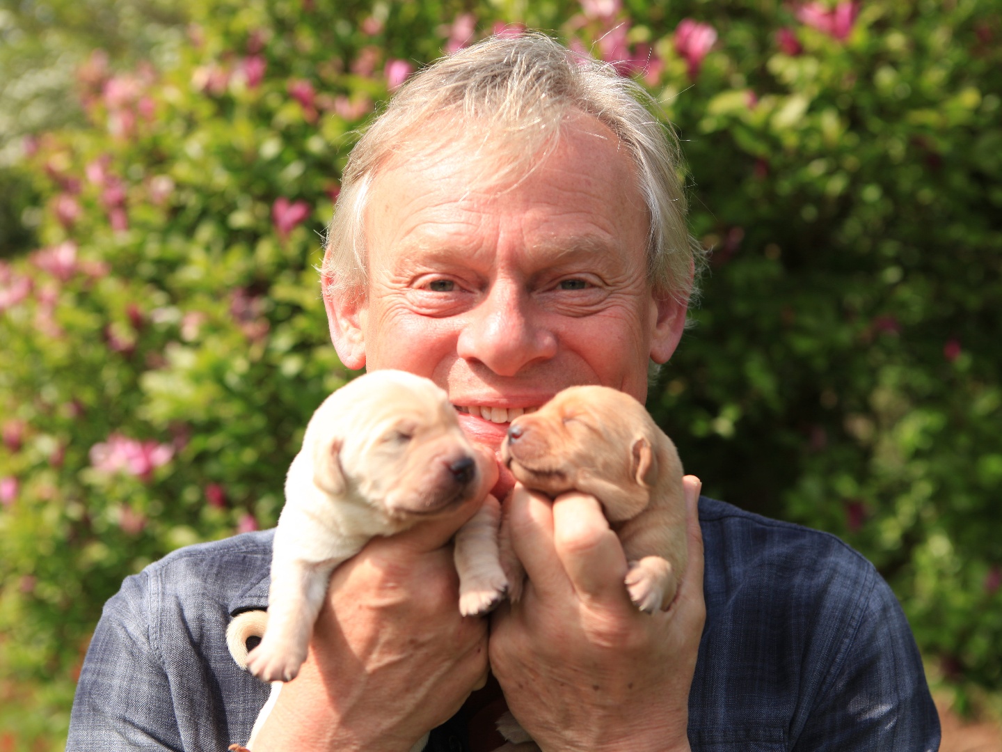 A Dog Called Laura  5 October 2023 on ITV