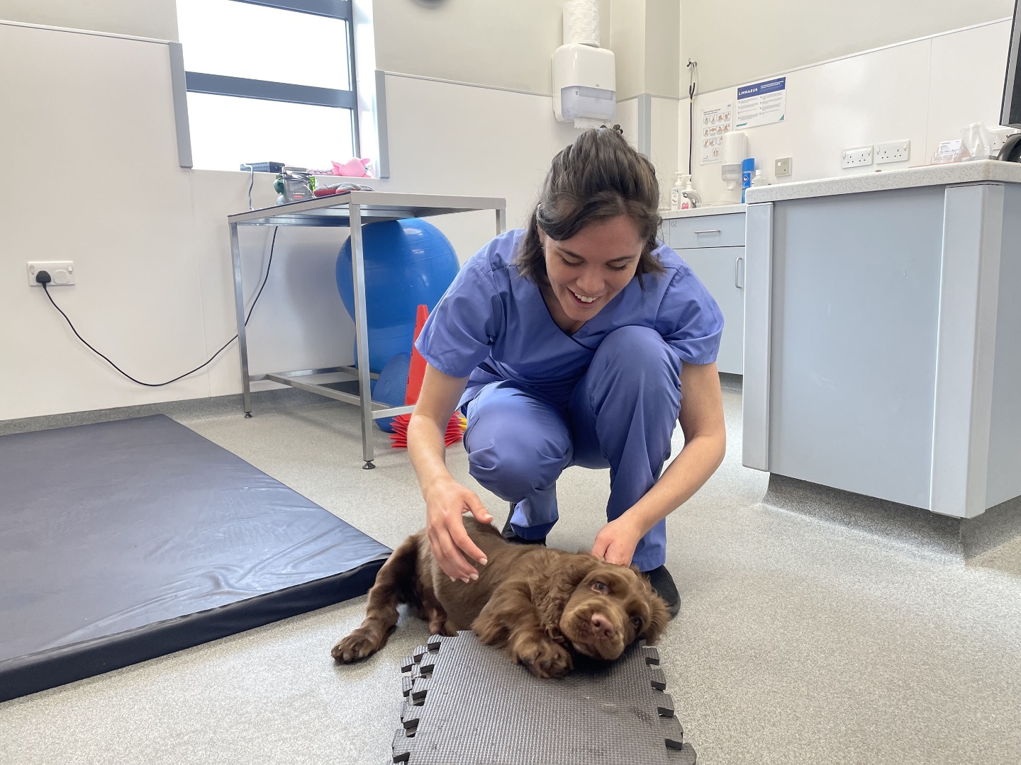 The Dog Hospital with Graeme Hall S1E3 19 October 2023 on Channel 5